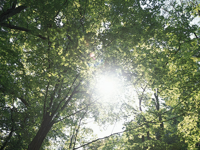鋭い観察眼で全て見通しますの写真